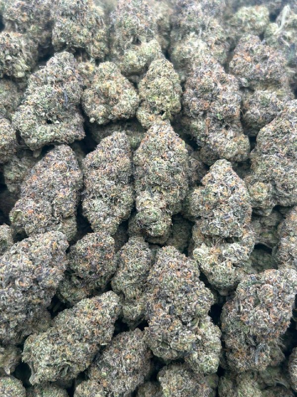Mystical Gelato