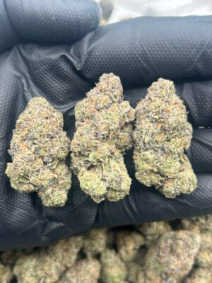 31fbe4ec-2a19-4b28-953c-de83efc7905e Mystical Gelato
