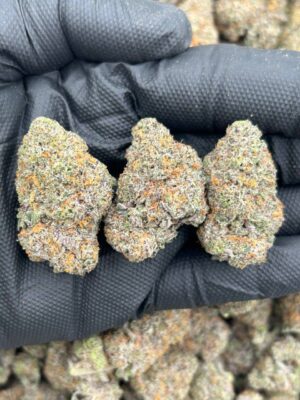 Blueberry Caviar