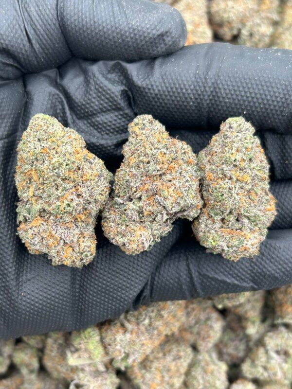 Blueberry Caviar