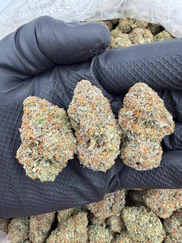 0c378dbe-f270-45a6-a5a5-4362d1eef4bb Mendo Cookies