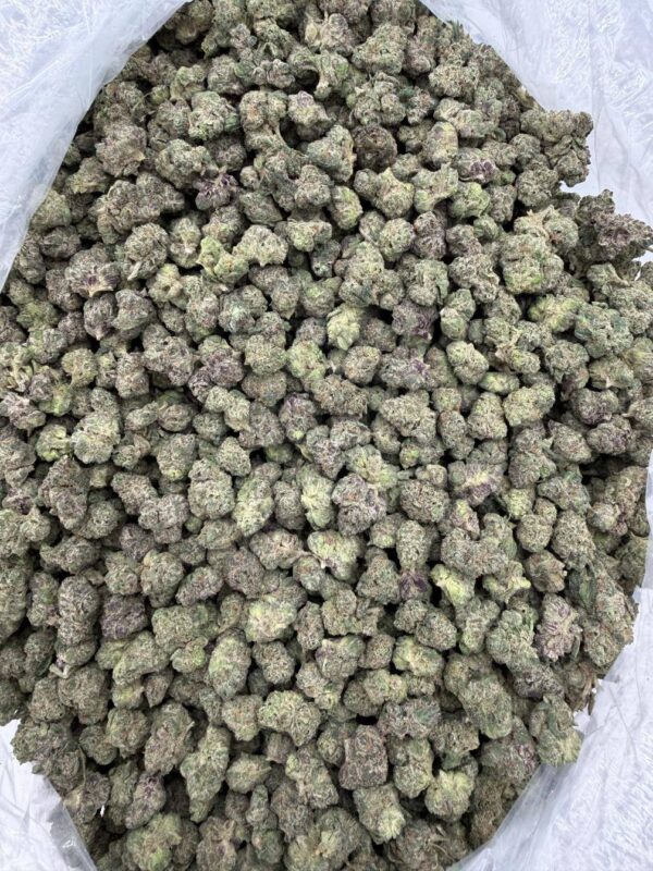 114f5780-a5e8-405f-9fd3-36d7daaccf99 Canndi Batter smallz