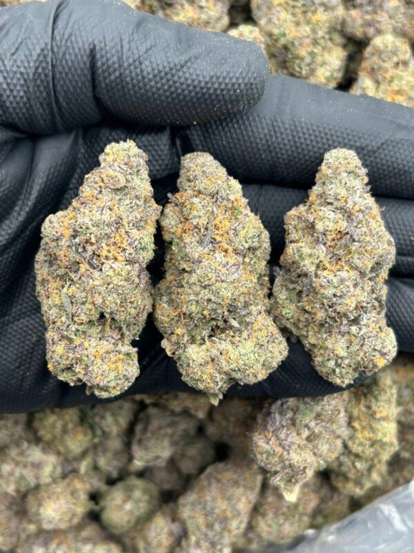 Frosty
