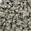 463324f5-c67e-4307-a750-3a6d4a3026e6 Motita Cherry #244
