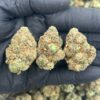 Candy Berries