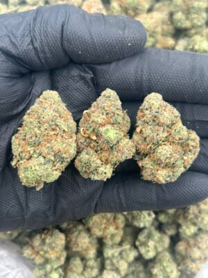 Candy Berries