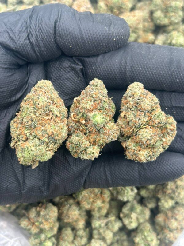 Candy Berries