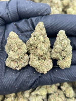 Candy Berries