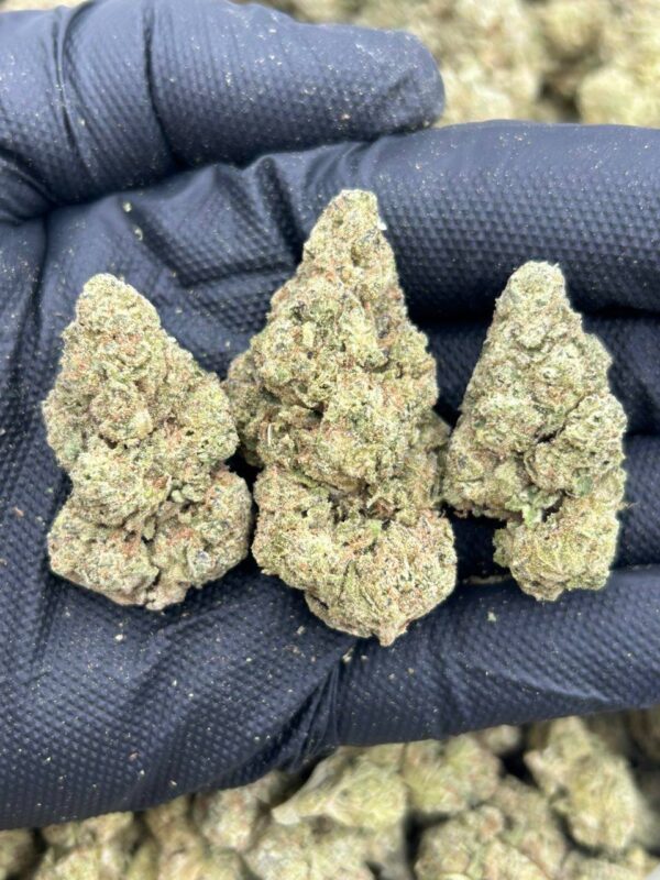 Candy Berries