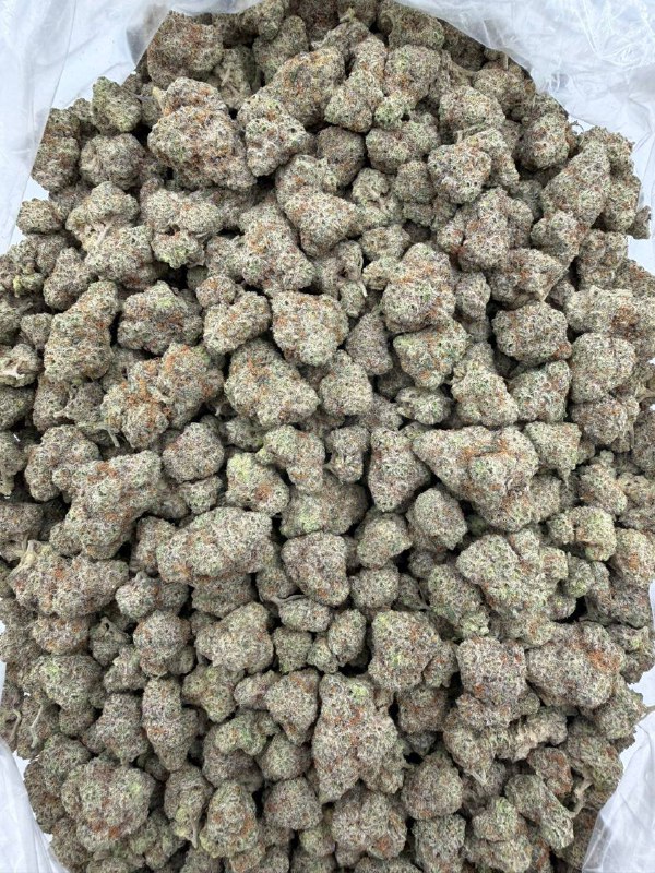 4c9ed5e7-cb69-4105-bdb1-92c2e5dbc752 Pressure OG