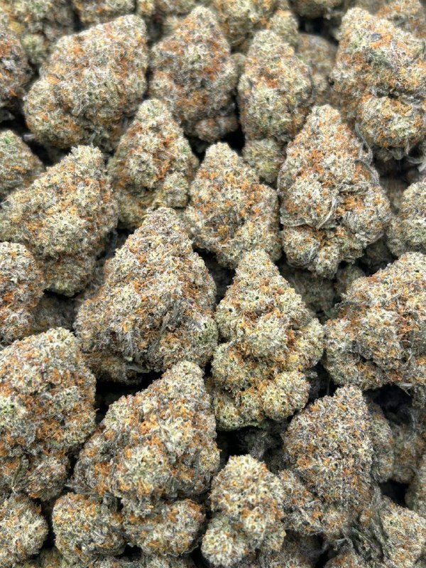 7f9d9db6-cfd9-4771-845a-f455ed096622 Truffle pop