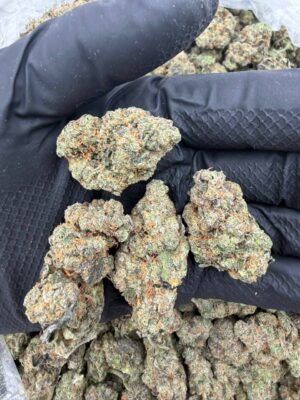 91e17f05-e4f8-4195-9bfd-29c360c5309f Sour Berry OG