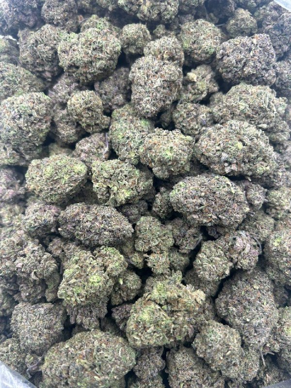 93c8c6ba-c96f-4cfd-9329-8a8265cc4ac2 Garlic OG