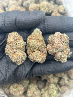 9651c423-dfa3-411a-8a5d-cb321ba0ade7 Fruity Pebbles