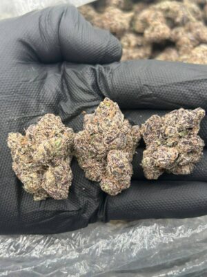 96f6d599-09e0-4983-bd49-89e68837b04b Mega Cherry