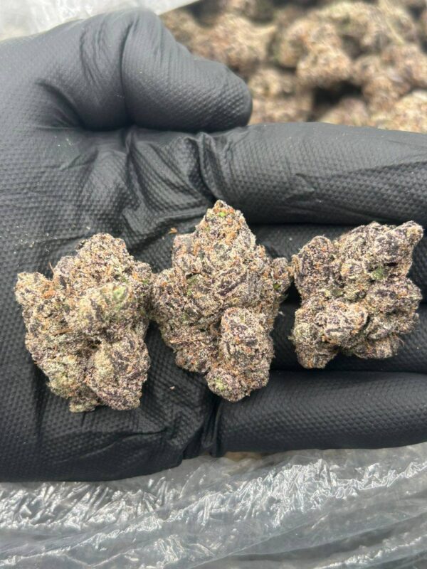 Mega Cherry