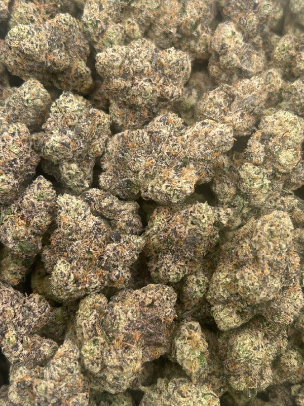 Coco Candy Coco Candy