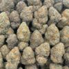 a9a93209-ea6c-47ee-bc03-cec3c9681cb8 Gelato 33