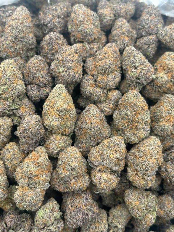 a9a93209-ea6c-47ee-bc03-cec3c9681cb8 Gelato 33