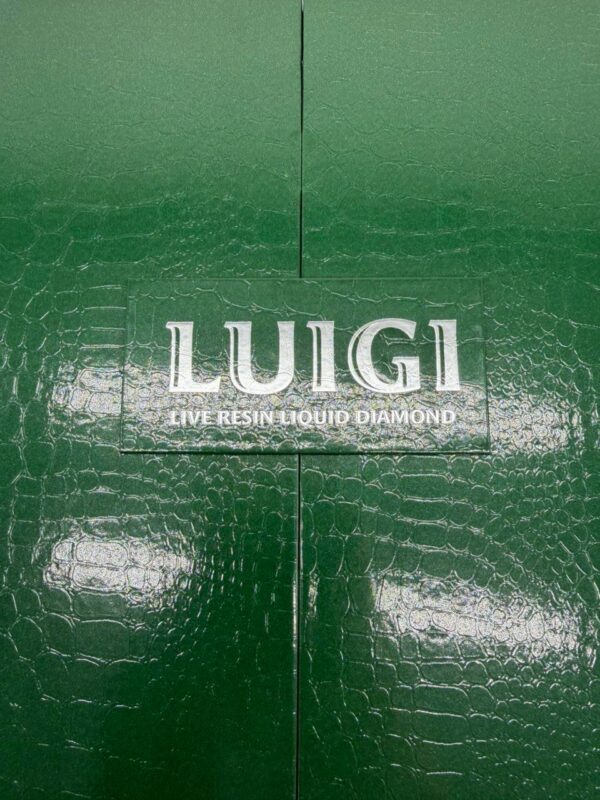 🍀 LUIGI GREEN EDITION 🍀
