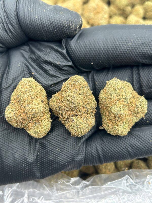 cc9e6f01-a764-48df-b2bb-79769847572e Lemon Head Runtz