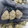 efde1fd2-09c0-487c-aa01-b05d38318488 Garlic OG