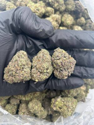 efde1fd2-09c0-487c-aa01-b05d38318488 Garlic OG
