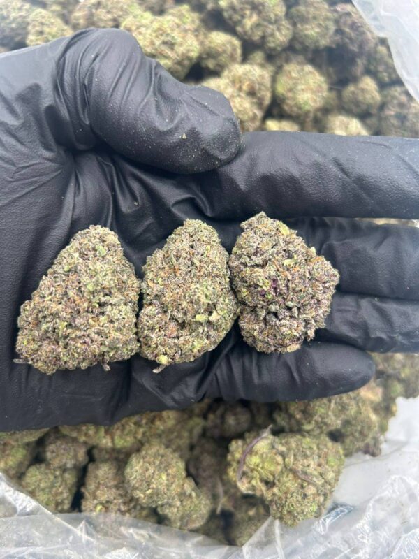 efde1fd2-09c0-487c-aa01-b05d38318488 Garlic OG
