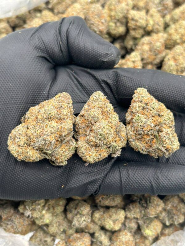 f8a0af75-c0aa-48fb-93a3-386949b800f1 Truffle pop